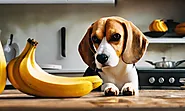 Can Dogs Eat Bananas? Unveiling the Truth About This Popular Fruit