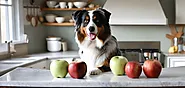 Can Dogs Eat Apples? Unraveling the Myth for Pet Owners