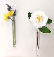 DIY: Easy Hanging Wall Vases - A Piece Of Rainbow
