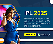 IPL 2025: How to Get Started with MadrasBook for Online Cricket Betting