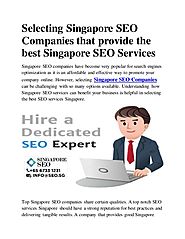 Selecting singapore seo companies that provide the best singapore seo…