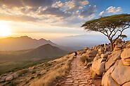 Best Africa Tour Packages | African Safari Packages From Dubai | Tanzania Safari Packages