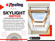 Skylight Repair