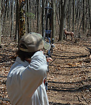 How To Improve Bow Shooting Accuracy