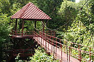 Peninsular Botanic Garden - Thung Khai