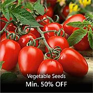 Buy Vegetable and Herb Seeds online from Nurserylive at lowest price.