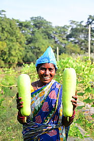 Nurturing Nature: Where Every Seed Sows a Sustainable Future.