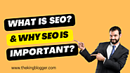 SEO Basics: What is SEO and Why it is Important?