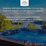 Wellness Retreat Bay Area for Mindfulness, Rejuvenation, and Nature-Based Healing