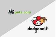 Bad Timing Hurt Pets.com. Dodgeball.com Had No Strategic Plan. Be Aware of the Procession of Startup Pitfalls.