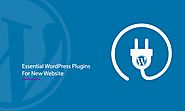Essential WordPress Plugins You Should Install On Your New Website