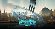 What Does A Blockchain Fork Mean?