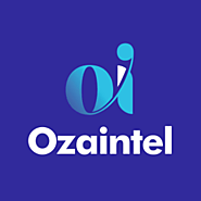 Leading Salesforce & Data Analytics Consulting Company | OzaIntel LLC