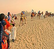 Camel Safari In Jaisalmer