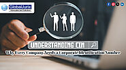 Understanding CIN: Why Every Company Needs a Corporate Identification Number