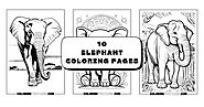 Elephant Coloring Pages - Coloring Fun Pages