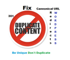 How to Fix Duplicate Content Issues in WordPress Blog?