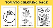 10 Tomato Coloring Page - Coloring Fun Pages