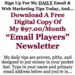 Daily Email Marketing Tips By Ben Settle