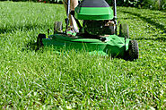 3. Affordable Weed Control Services for Lawns in Idaho