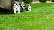 Affordable Lawn Care Services in Griffith, IN