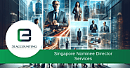 Singapore Nominee Director Services at annual fee of $2000