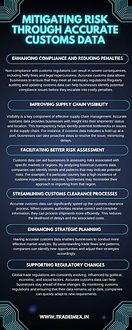 How Accurate Customs Data Reduces Risk in Global Trade