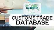 How Customs Data Drives Efficiency in International Trade