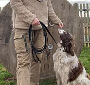 Dog Training Lead (Long Dog Lead)