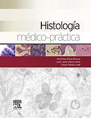 Histologia medico practica brustos by Brunna Luiza Simonetti - Issuu