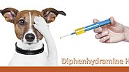 Is It okay to Give Diphenhydramine Hcl to Dog?