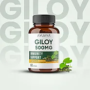 Giloy Capsules for Immunity, Digestion & Respiratory Health