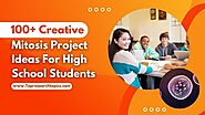 100+ Creative Mitosis Project Ideas For High School Students