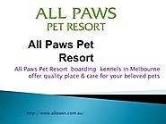 All Paws - Cat Boarding & Dog Kennels in Melbourne