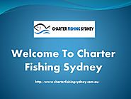 Charter Fishing Sydney- Deep Sea Fishing in Sydney