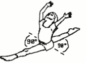 Leg Stretches that Increase Flexibility for Dancers and Gymnasts