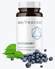 MD/PROCESS® - Official Website