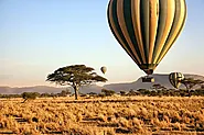 Best Serengeti and Zanzibar Packages