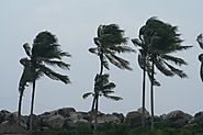 South Florida wind mitigation