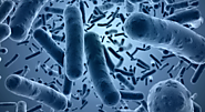 22 Cases of Bacteria Contaminated Food Recalls in the UK - DDS International