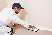 Reason to Choose Professionals For Carpet Installation
