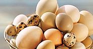 Ăn trứng lợi hay hại cho người tập thể hình ?