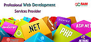 Website at http://blog.samwebsolution.com/2016/01/22/why-choose-web-designing-company-instead-of-freelancers/