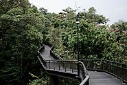 Kent Ridge Park