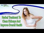 Herbal Treatment To Clean Kidneys And Improve Overall Health Naturally