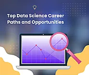 Top Data Science Career Paths and Opportunities