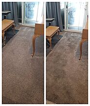 Professional Carpet Cleaning in Los Angeles