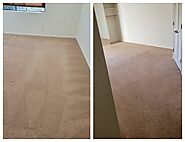 Top-Rated Carpet Cleaning Services in Santa Monica