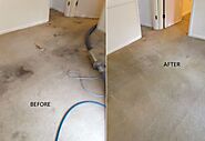 Carpet Cleaning You Can Trust in Granada Hills