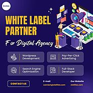 Expert White Label Solutions for Digital Success